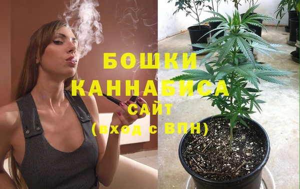 дмт Богданович