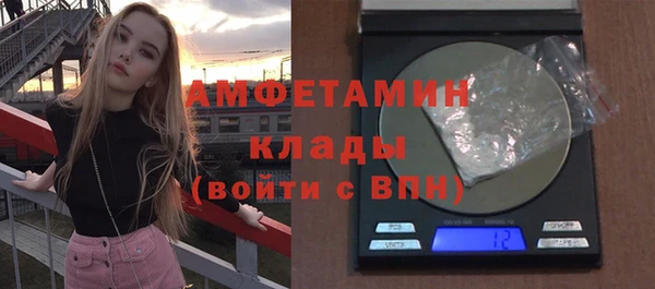 дмт Богданович