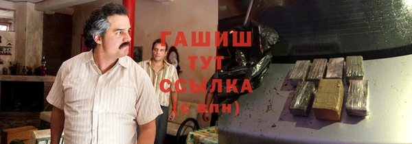 дмт Богданович