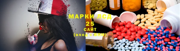 дмт Богданович