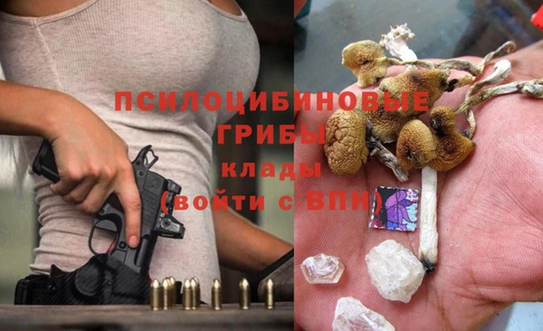 марки nbome Богородицк