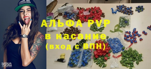 дмт Богданович