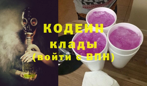 дмт Богданович