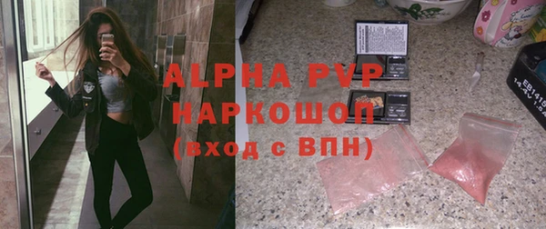 дмт Богданович